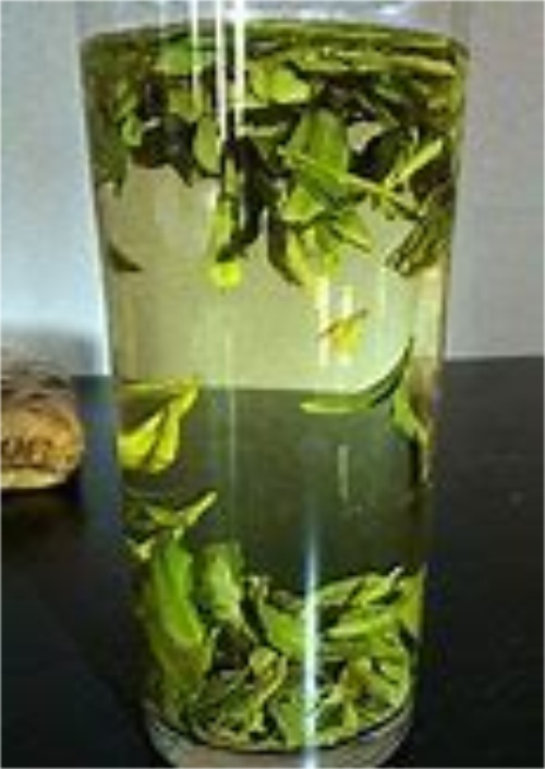 绿茶龙井保存
