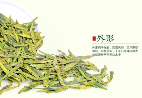绿茶龙井 保存