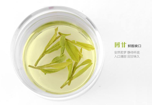 绿茶龙井以什么水冲泡