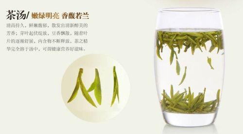 绿茶龙井冲泡