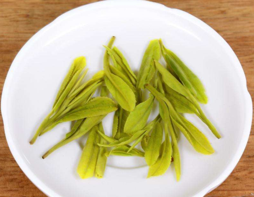 绿茶龙井储存条件
