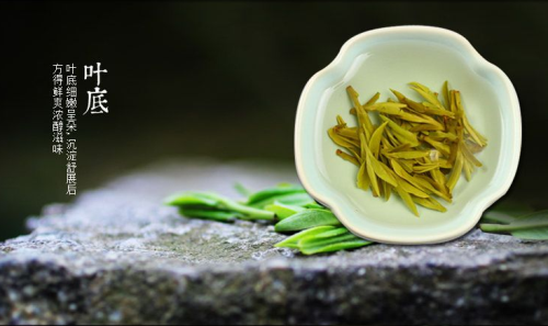 绿茶龙井 保存 冰箱