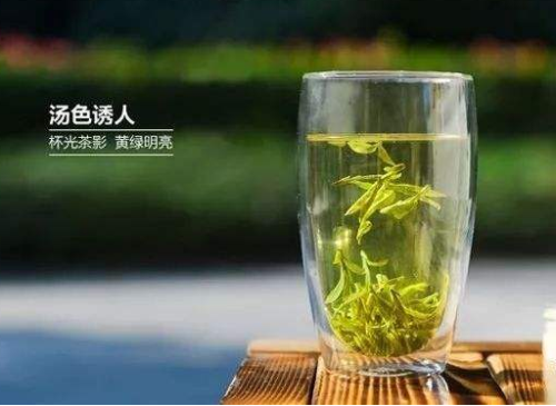 绿茶龙井哪的好处