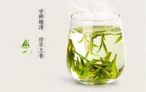 绿茶龙井手工制作视频