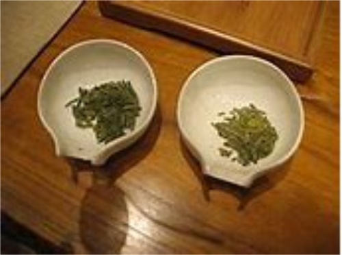 绿茶龙井制作工艺