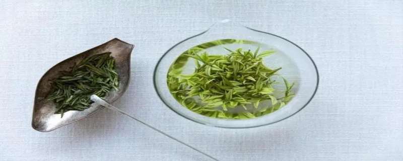天目湖白茶的功效与作用