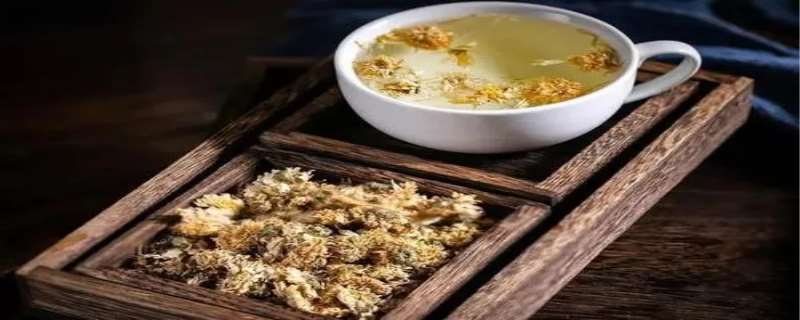 杭白菊的功效与作用及禁忌